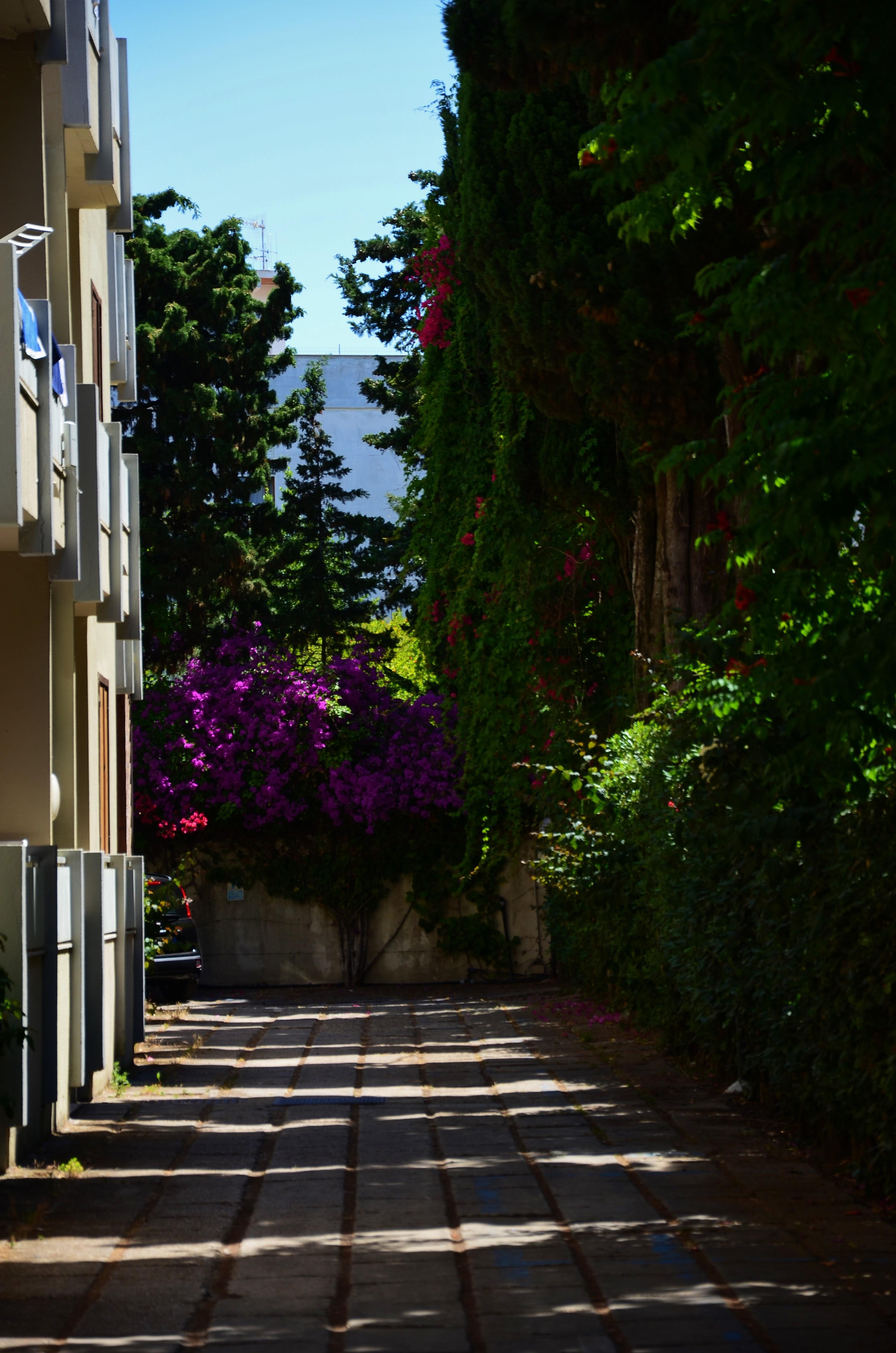 Residence Eucalipti Alguer Exterior foto